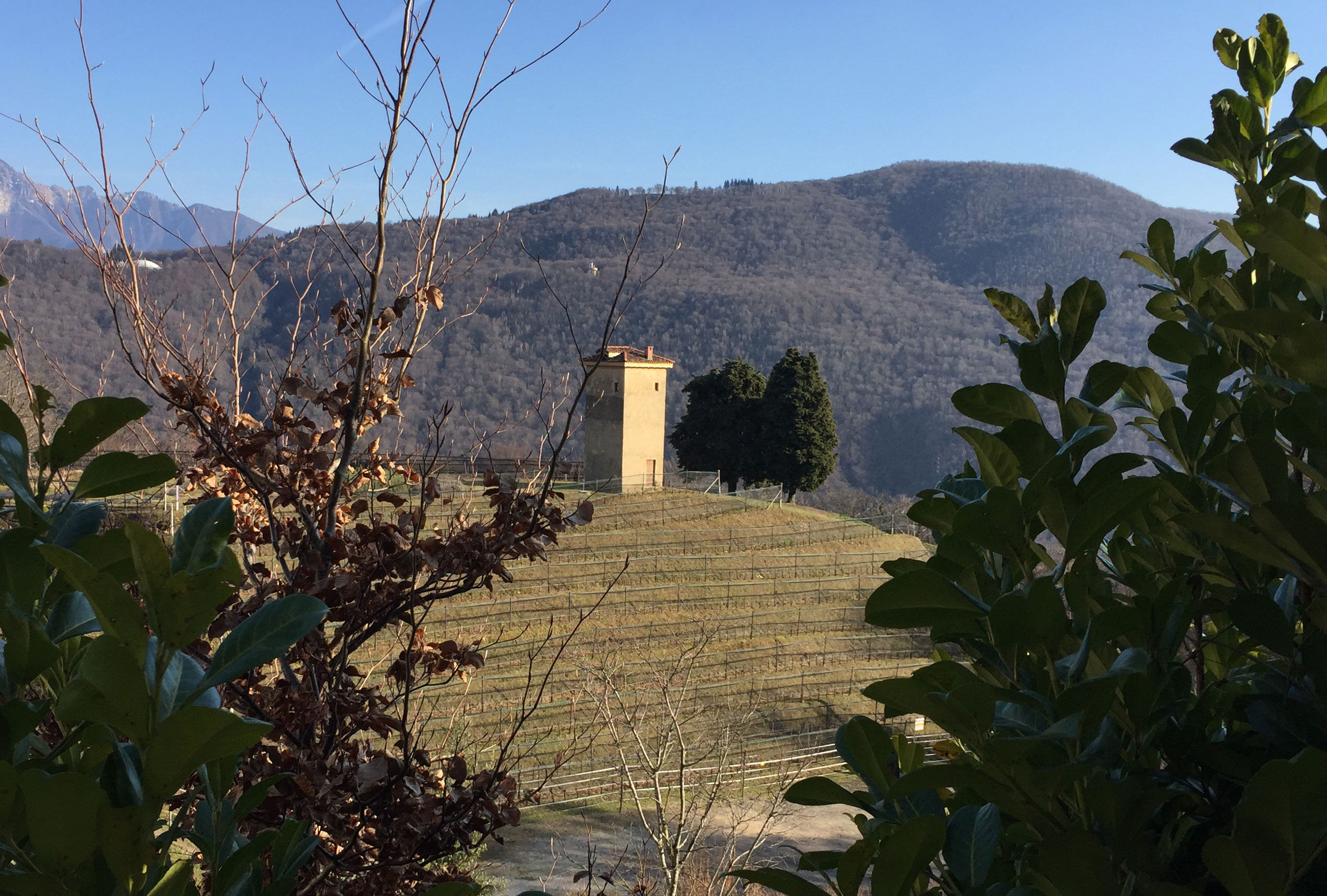 Il sanatorio di Agra